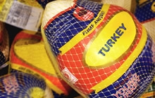 Turkey 2